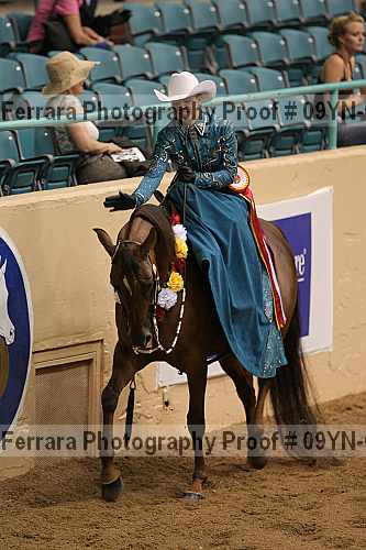 Proof 09yn-07099