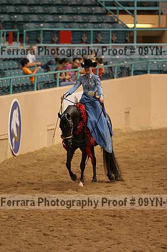 Proof 09yn-07101