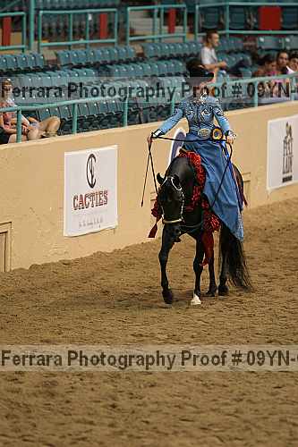 Proof 09yn-07103