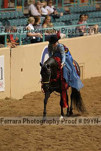 Proof 09yn-07104