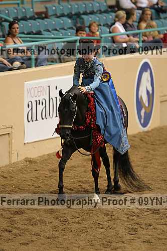 Proof 09yn-07105