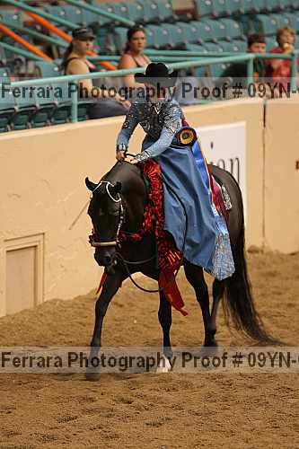 Proof 09yn-07106