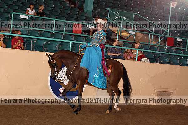 Proof 09yn-07107