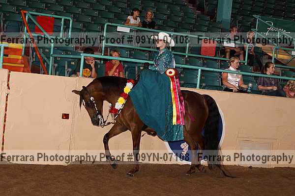 Proof 09yn-07108