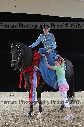 Proof 09yn-07144