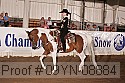 09yn-08884 proof