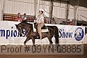 09yn-08885 proof