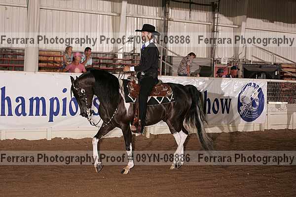 Proof 09yn-08886