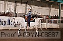 09yn-08887 proof