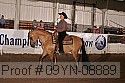 09yn-08889 proof