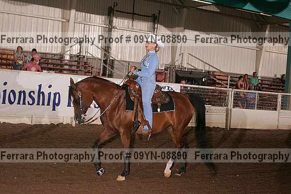Proof 09yn-08890