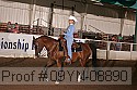09yn-08890 proof