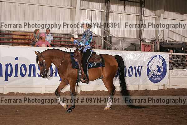 Proof 09yn-08891
