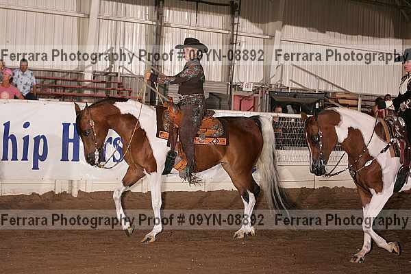 Proof 09yn-08892