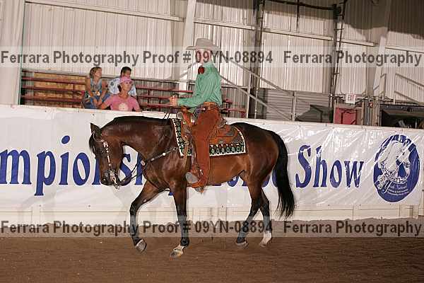 Proof 09yn-08894