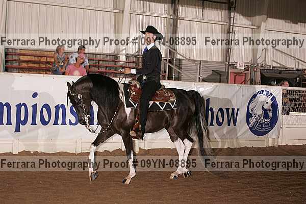 Proof 09yn-08895