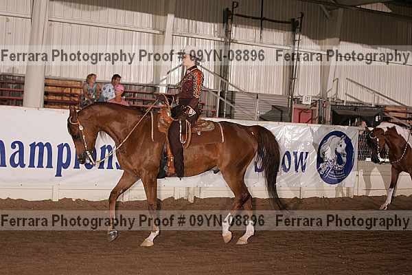 Proof 09yn-08896