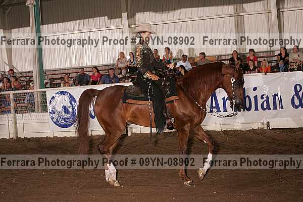 Proof 09yn-08902