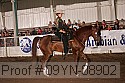 09yn-08902 proof