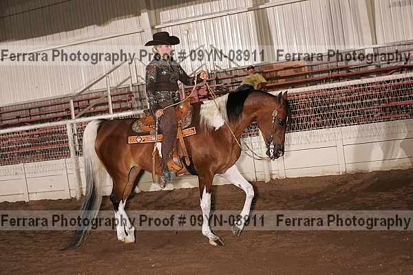Proof 09yn-08911