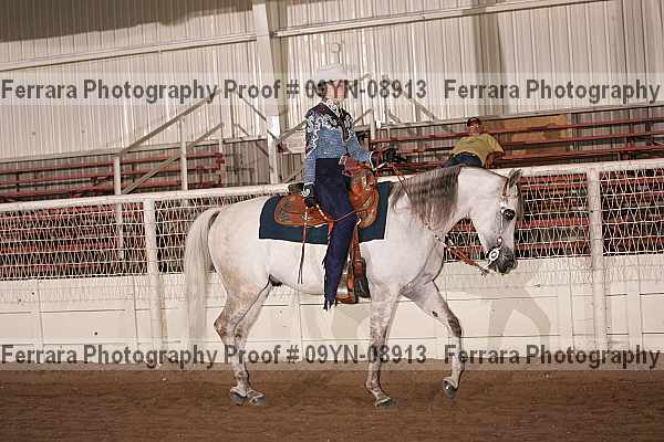 Proof 09yn-08913