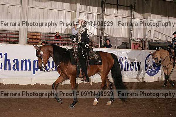 Proof 09yn-08929