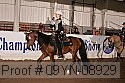 09yn-08929 proof