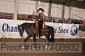 09yn-08932 proof