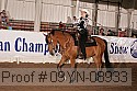 09yn-08933 proof