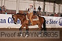 09yn-08935 proof