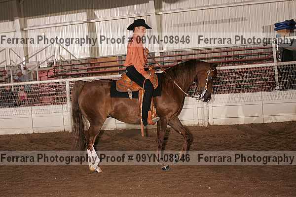 Proof 09yn-08946