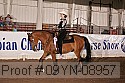 09yn-08957 proof