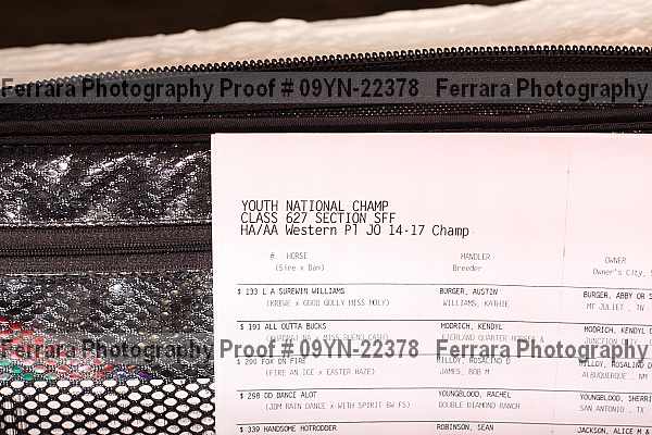 Proof 09yn-22378