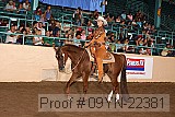 09yn-22381 proof
