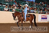 09yn-22384 proof