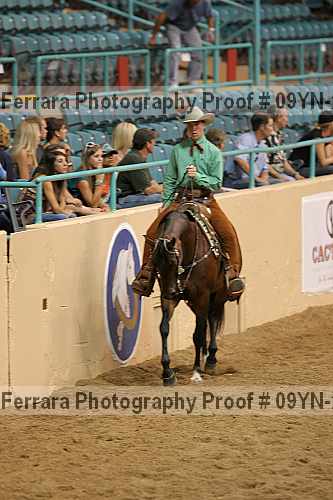 Proof 09yn-22390