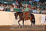09yn-22391 proof