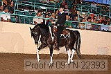 09yn-22393 proof