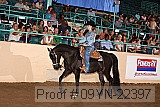 09yn-22397 proof