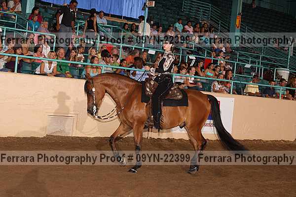 Proof 09yn-22399