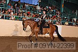 09yn-22399 proof