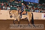 09yn-22400 proof