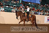 09yn-22402 proof
