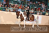 09yn-22407 proof