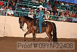 09yn-22408 proof