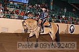09yn-22409 proof