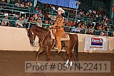 09yn-22411 proof