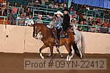 09yn-22412 proof