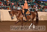 09yn-22413 proof