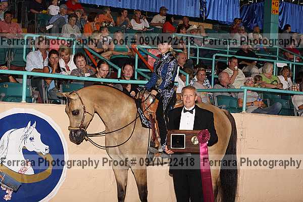 Proof 09yn-22418